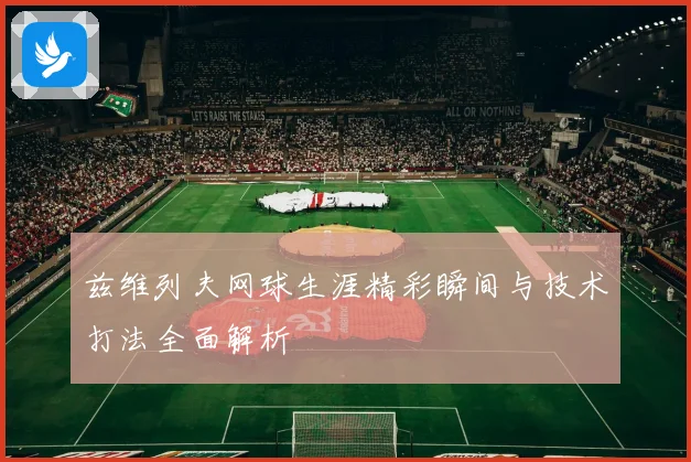 兹维列夫网球生涯精彩瞬间与技术打法全面解析